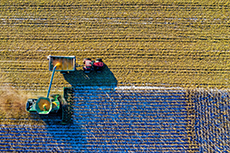 Agribusiness